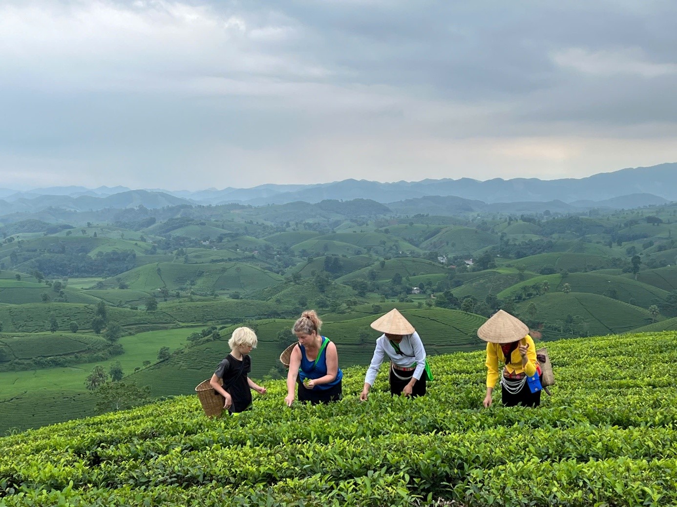 DU LỊCH NÔNG THÔN – HƯỚNG PHÁT TRIỂN SẢN PHẨM DU LỊCH MỚI