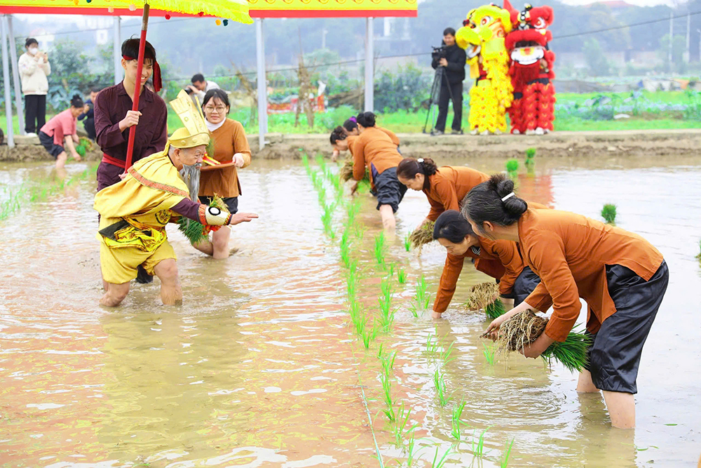 Du Xuân miền Đất Tổ